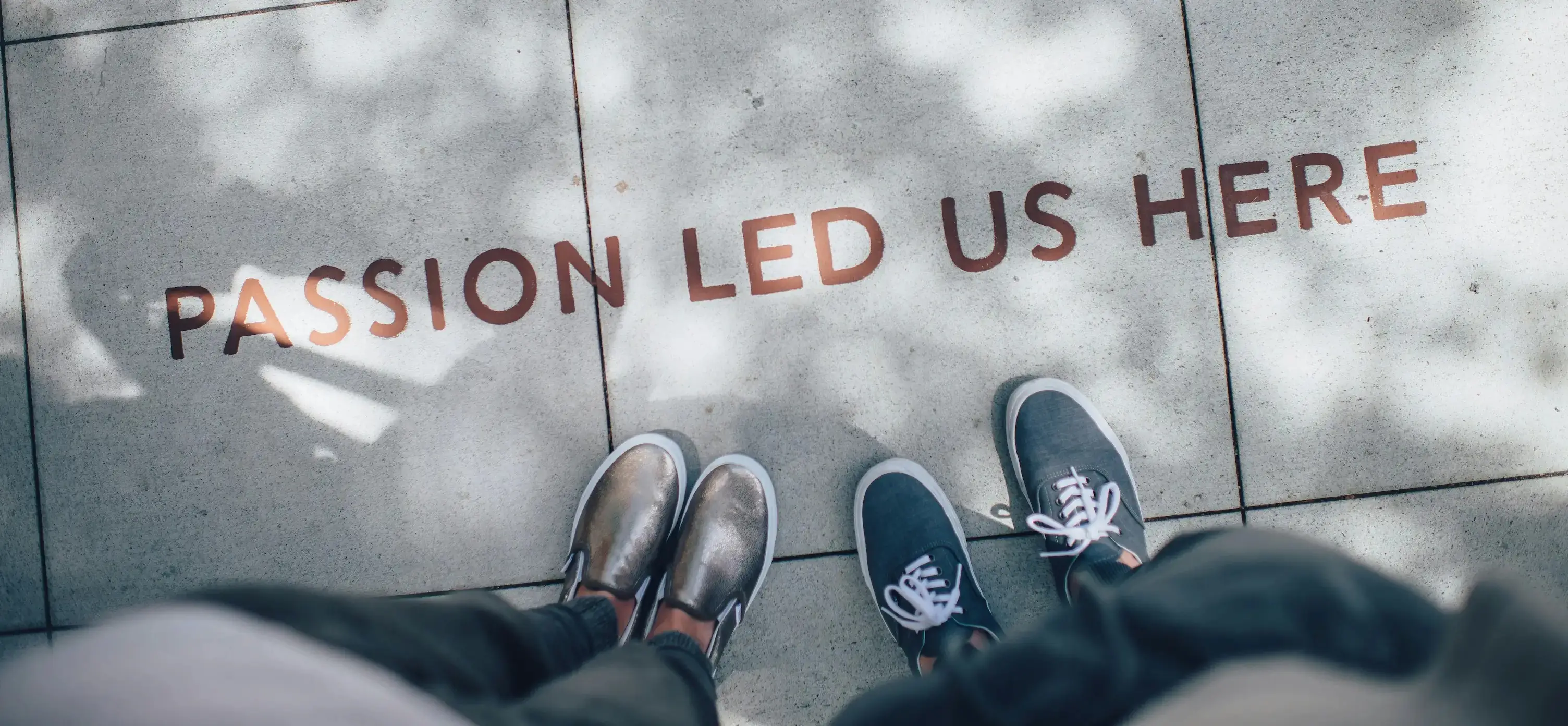 Core values and principles of Assure Digits